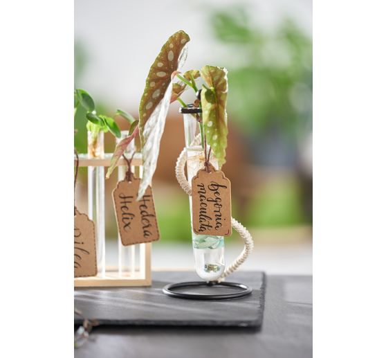 VBS Tube holder "Vase"