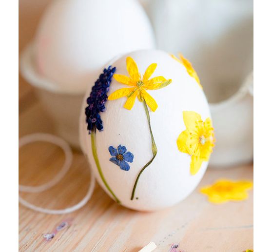 Libro "Frühlingsgefühle"