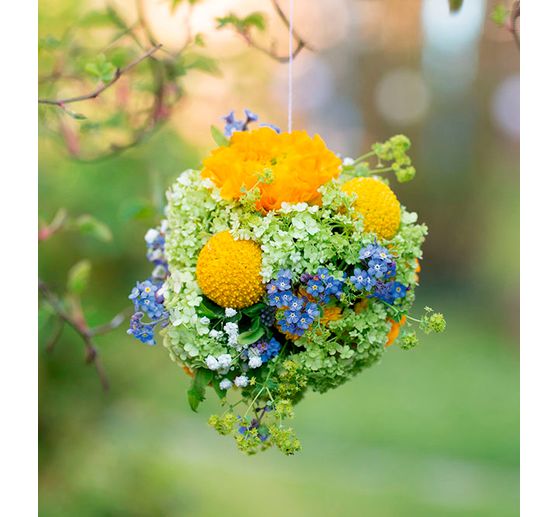 Libro "Frühlingsgefühle"