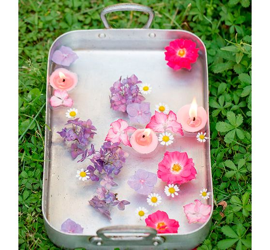 Libro "Frühlingsgefühle"