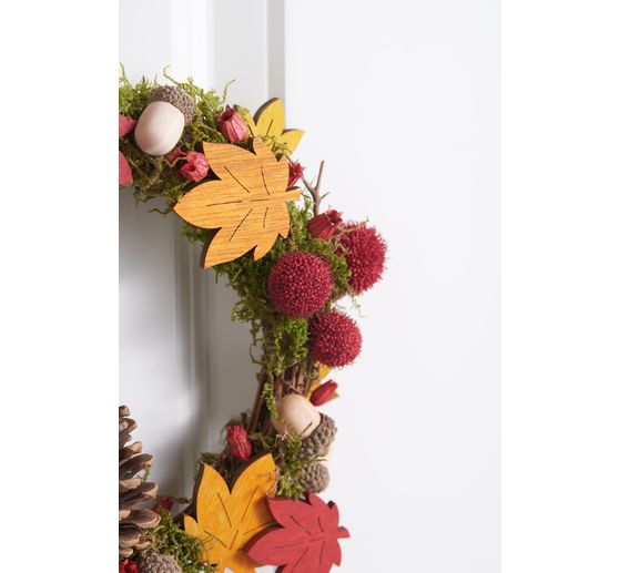 Dried flowers potpourri set "Red"