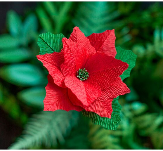 Lia Griffith, florist crêpe "Winter Garden"