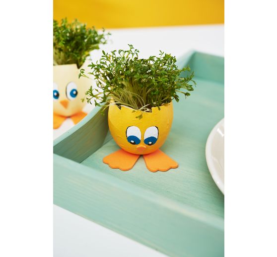 Cardboard eggshells, waterproof