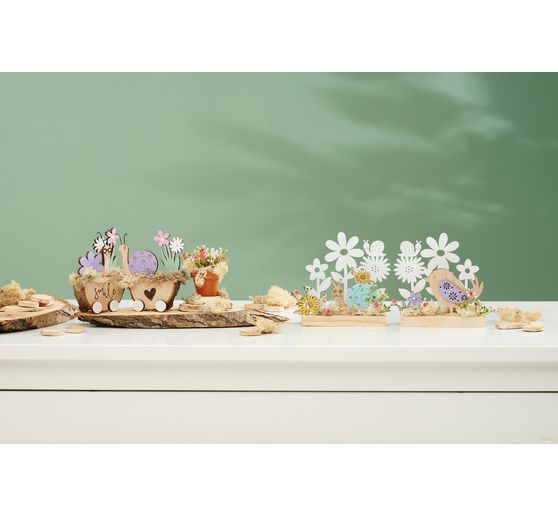 VBS Snail "Racing Willi"