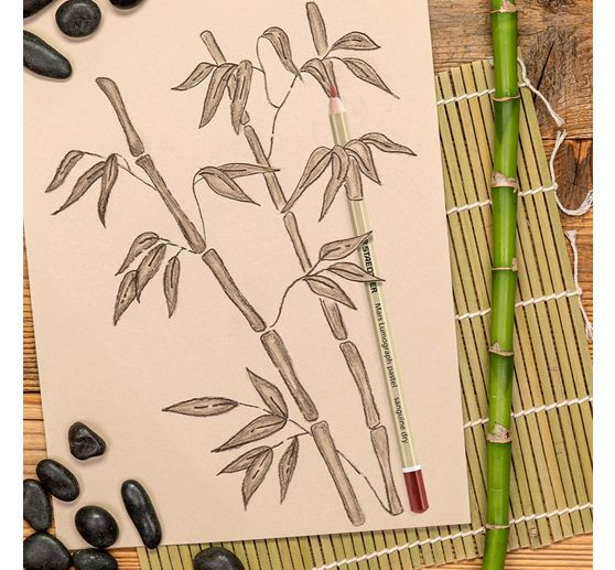 STAEDTLER Lumograph "Pastel pencils"