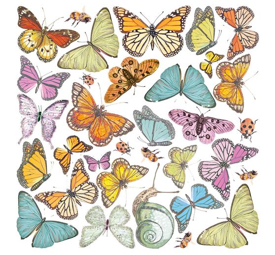 Vellum Paper "Enchanted Land"