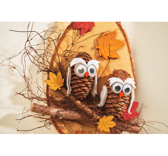 Birch branches, 20 pieces