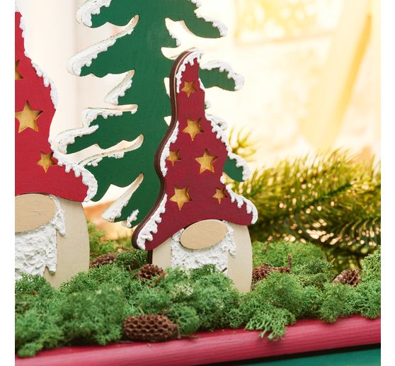 Muschio d'Islanda, 400 g