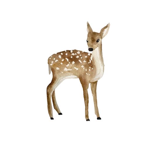 Watercolor - Die wunderbare Kreativbox. Mit Anleitungsbuch und Material