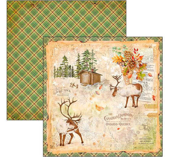 Scrapbook paper "Into the Wild"