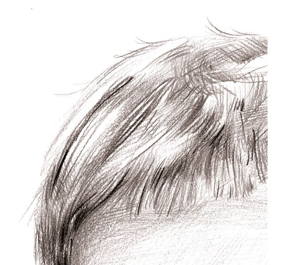 Book "Manga Step by Step - Basiskurs"