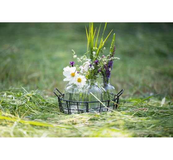 Wire basket with 6 glass bottles