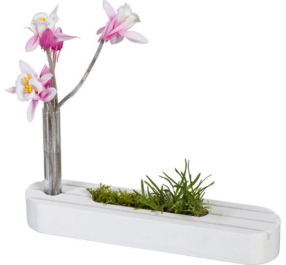 Wooden stand with test tube