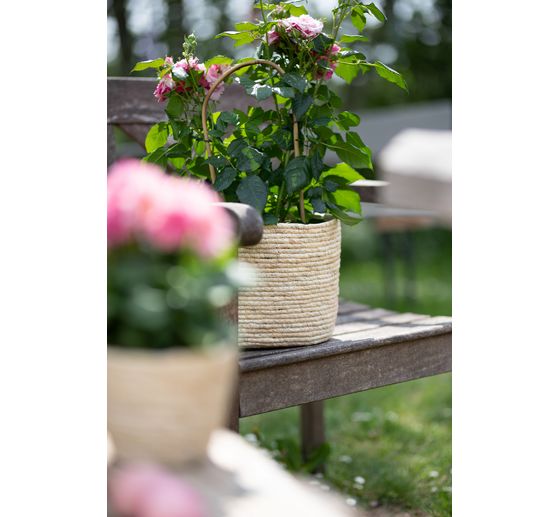 Seaweed plant basket
