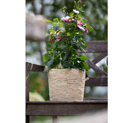 Seaweed plant basket