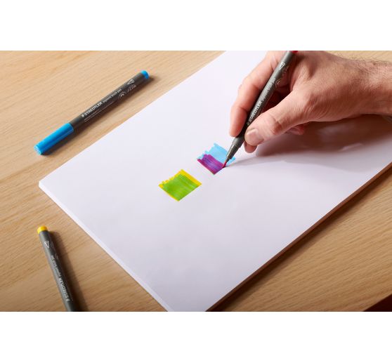 STAEDTLER Pigment pen "Intensive Black"