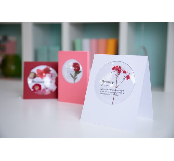 Sizzix Cupole Shaker "Rotonde