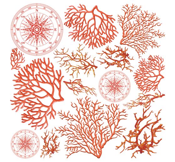 Vellum Paper "Coral Reef"