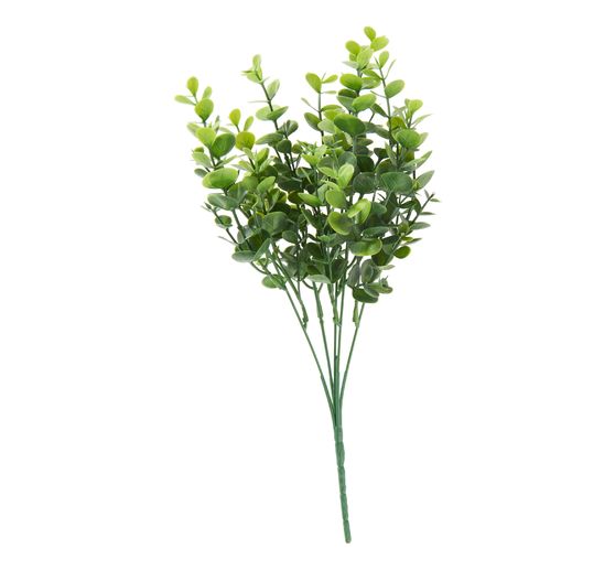 Eucalyptus pick "Mia"