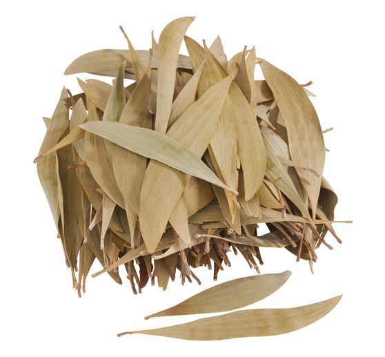 Eucalyptus leaves, 100 g