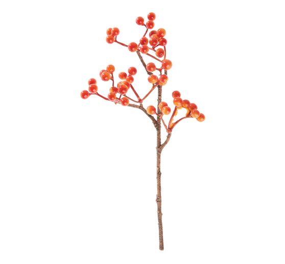 Raccolta di bacche, arancione