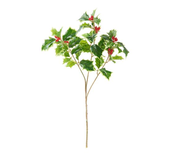 Ilex branch "Green" with berries
