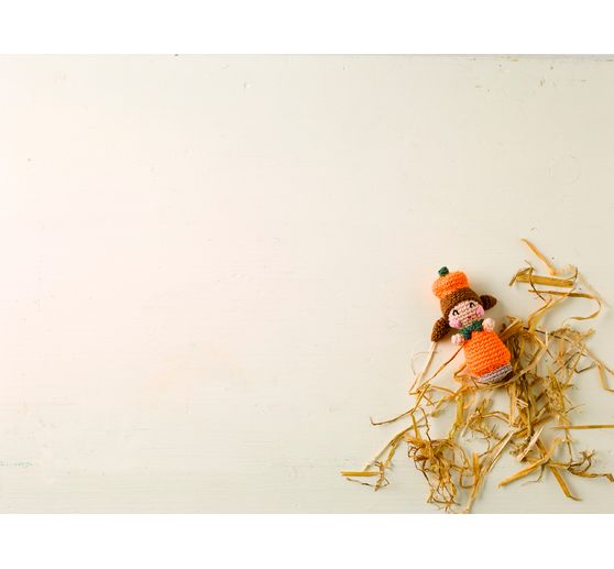 Book "Häkel-Minis: Herbst"