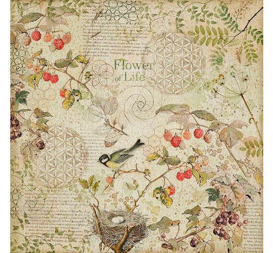 Maxi blocco di scrapbook "Foresta