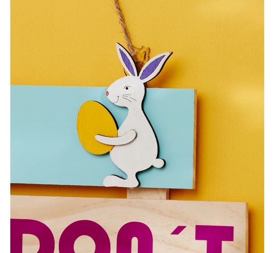 VBS Rabbit plug
