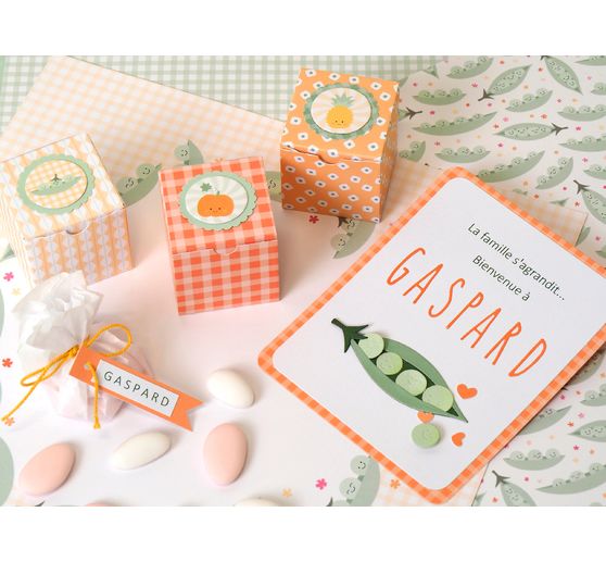 Scrapbook block" Vitamine"