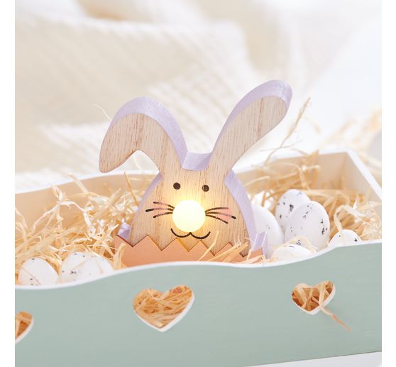 VBS Bunny with LED nose