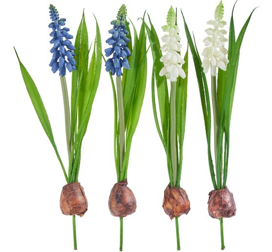 Pearl hyacinth mix with bulb
