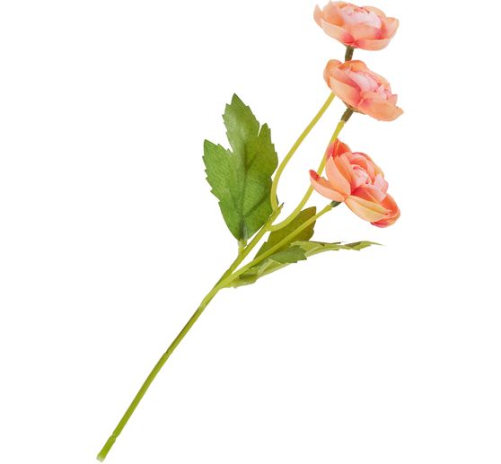 Ranunculus pick with 3 flowers