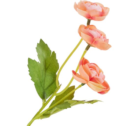 Ranunculus pick with 3 flowers