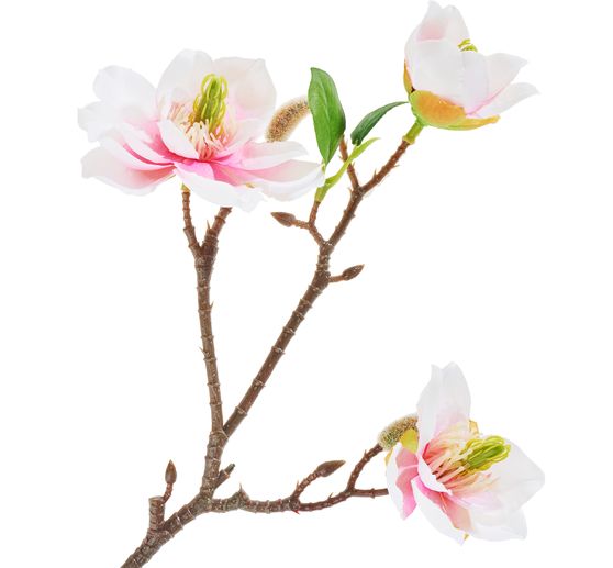 Magnolia pick with 3 flowers