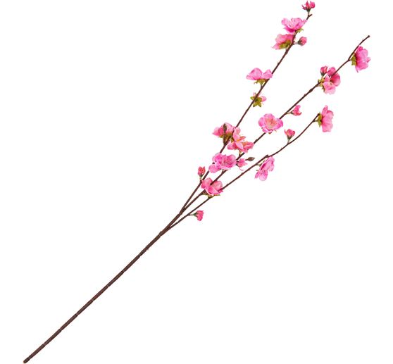 Cherry blossom branch