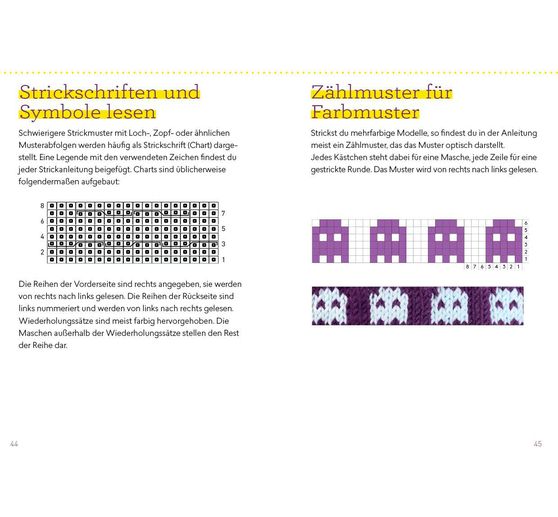 Book "Auf die Socke, fertig, los! Die kleine Strickschule für unterwegs"