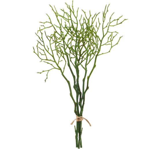 Blueberry branch, 3 pieces