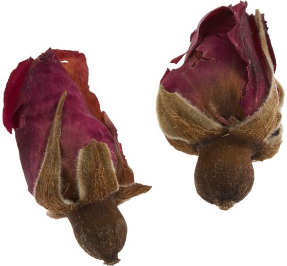 Dried flower assortment, 9 jars