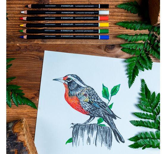 Staedtler Lumocolor permanent Coloured pencil