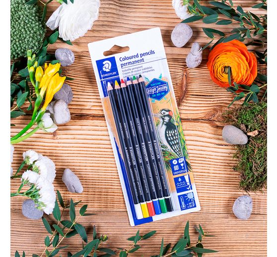 Staedtler Lumocolor permanent Coloured pencil