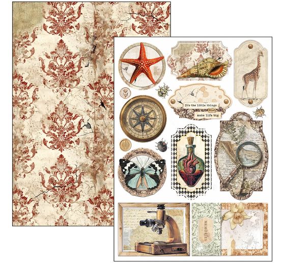 Paper set "Cabinet of Curiosities"