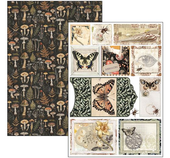 Paper set "Cabinet of Curiosities"
