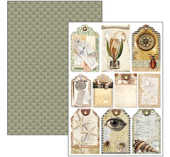 Paper set "Cabinet of Curiosities"