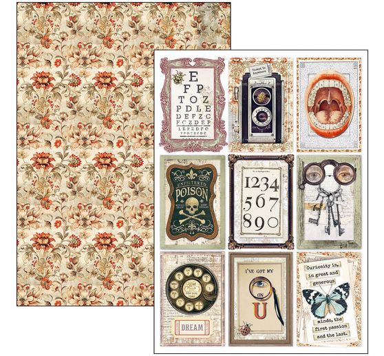 Paper set "Cabinet of Curiosities"