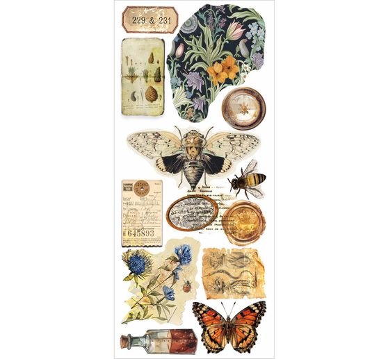 Adesivi artistici "Cabinet of Curiosities" (Gabinetto delle curiosità)