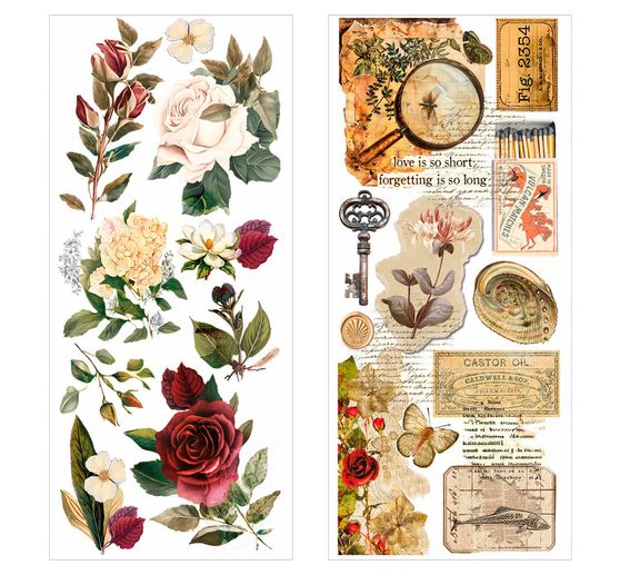 Adesivi artistici "Cabinet of Curiosities" (Gabinetto delle curiosità)