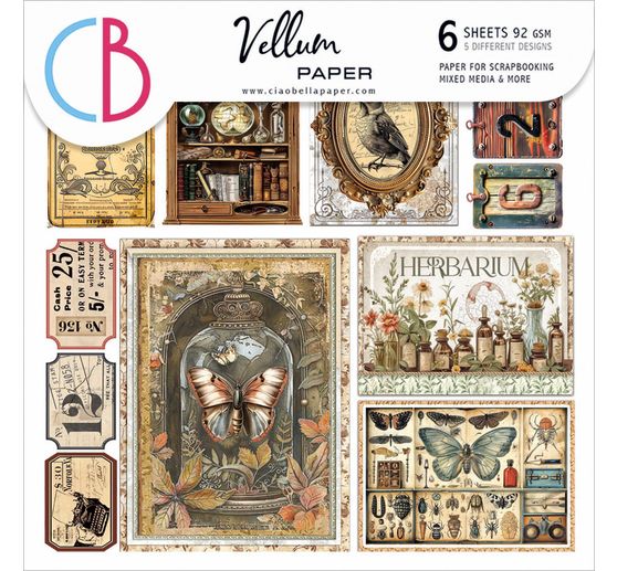 Vellum Paper "Cabinet of Curiosities"