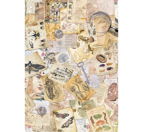 Motif straw silk assortment "Cabinet of Curiosities", set of 8