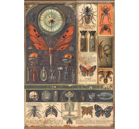 Motif straw silk assortment "Cabinet of Curiosities", set of 8